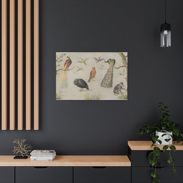 HYGGE CAVE | STUDY OF BIRDS AND MONKEY 1