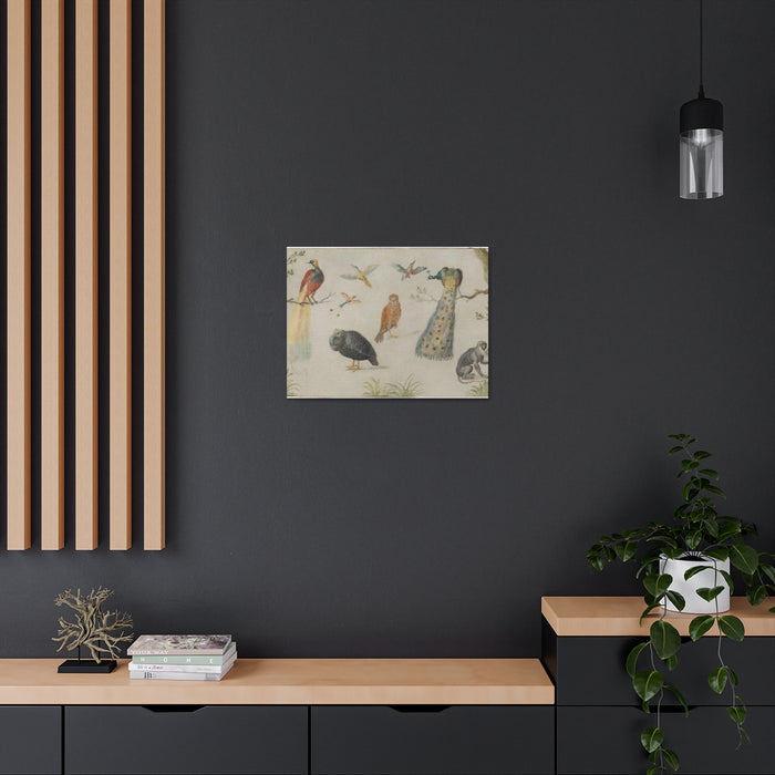 HYGGE CAVE | STUDY OF BIRDS AND MONKEY 1