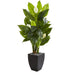 HYGGE CAVE | SPATHYFILLUM ARTIFICIAL PLANT IN BLACK PLANTER