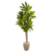 HYGGE CAVE | DRACAENA ARTIFICIAL PLANT IN SAND COLORED PLANTER