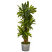 HYGGE CAVE | CORN STALK DRACAENA ARTIFICIAL PLANT